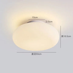 Minimalist Acrylic Pendant Light for Restaurant and Bedroom