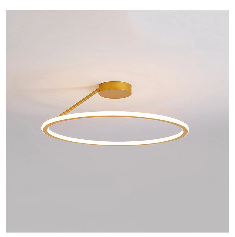 Modern ceiling light fixture with circular design on a plain background