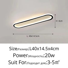 Modern Oval Flush Mount LED Ceiling Light