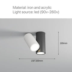 Modern Cylinder Spotlight Ceiling Light with Rotating Heads