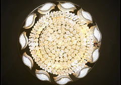Ceiling light fixture with decorative leaves on a dark background