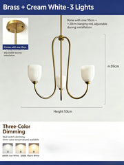 Brushed Gold Tulip Glass Chandelier Pendant Light
