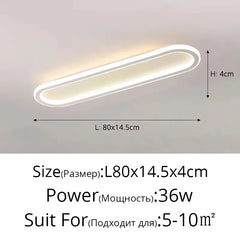 Modern Oval Flush Mount LED Ceiling Light