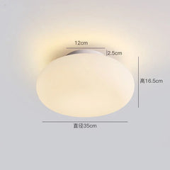 Minimalist Acrylic Pendant Light for Restaurant and Bedroom