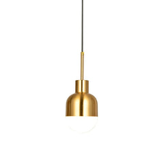 Gold Metal Dome Pendant Light with Frosted Glass Shade