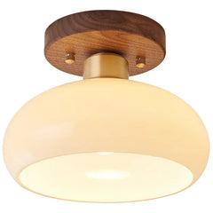 Close-up of a frosted glass dome ceiling light with a wood and brass base.