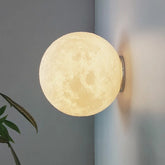 Spherical wall light fixture on a gray wall with a plant in the corner