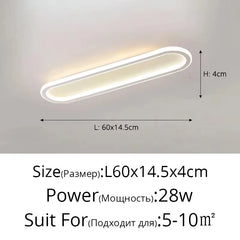 Modern Oval Flush Mount LED Ceiling Light