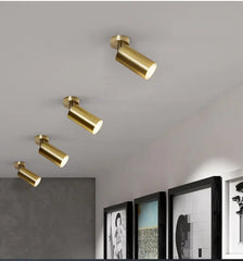 Brushed Gold Cylinder Spotlights Surface Mount Ceiling Light