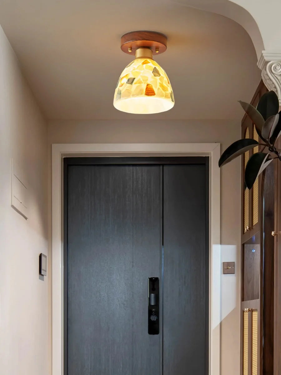 Ceiling light fixture with a glass shade in a room with a door and plant.