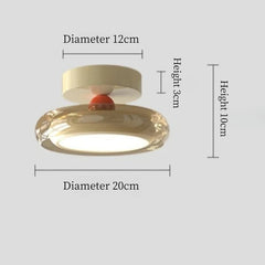 Colorful Dopamine Style Ring Flush Mount Ceiling Light