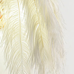 Close-up of white feathers on a light background