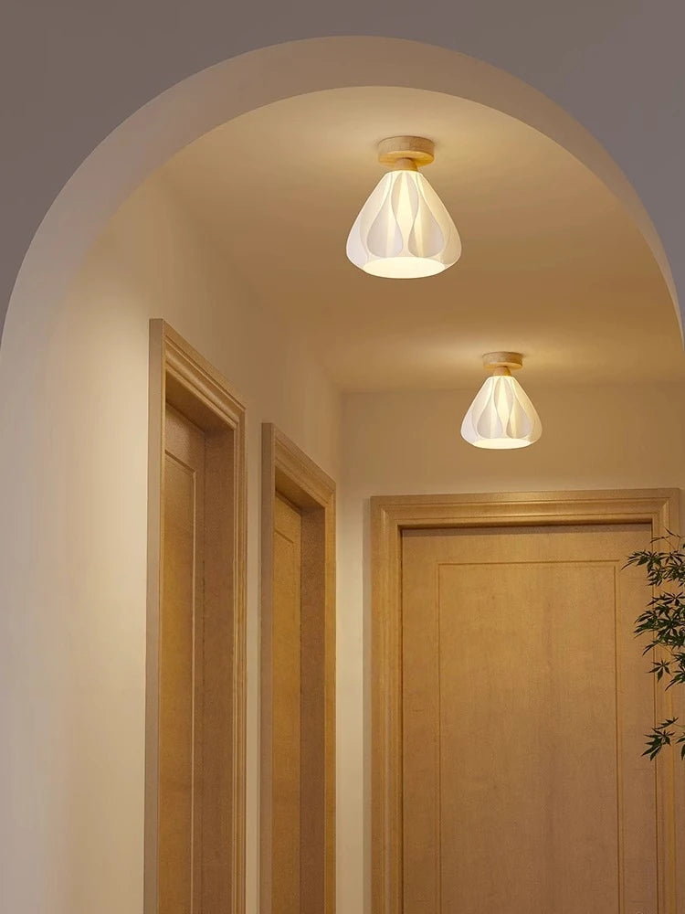 Two ceiling lights in a hallway with wooden doors and a plant.