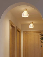 Two ceiling lights in a hallway with wooden doors and a plant.