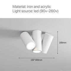 Modern Cylinder Spotlight Ceiling Light with Rotating Heads