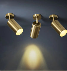 Brushed Gold Cylinder Spotlights Surface Mount Ceiling Light