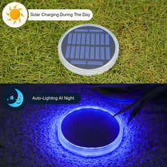 Solar-powered light on grass during the day and glowing blue at night.