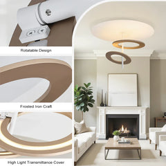 Modern ceiling light fixture with rotatable design, frosted iron craft, and high light transmittance cover in a living room setting.