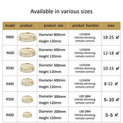 Gold Ring Crystal Ceiling Chandelier Flush Mount Light