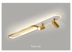 Modern Linear Spotlight Ceiling Lamp with Oval Accent