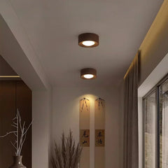 Two flush mount ceiling lights with black walnut wood and brass details installed in a well-lit corridor.