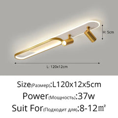 Modern Linear Spotlight Ceiling Lamp with Oval Accent