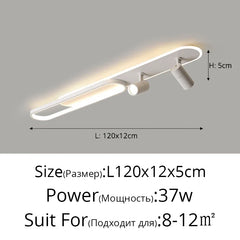 Modern Linear Spotlight Ceiling Lamp with Oval Accent
