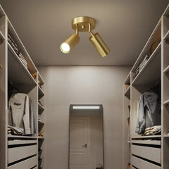 Brushed gold cylinder spotlights ceiling fixture in a walk-in closet.