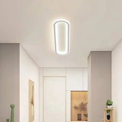 Modern Oval Flush Mount LED Ceiling Light