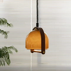 Amber Glass Dome Pendant Light with Wood Accents