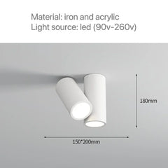 Modern Cylinder Spotlight Ceiling Light with Rotating Heads