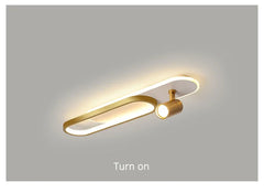 Modern Linear Spotlight Ceiling Lamp with Oval Accent