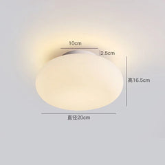 Minimalist Acrylic Pendant Light for Restaurant and Bedroom