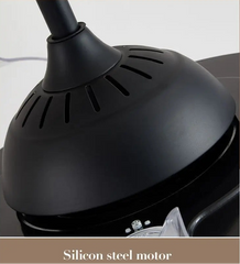 Close-up of a black hair dryer with 'Silicon steel motor' text at the bottom.