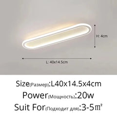 Modern Oval Flush Mount LED Ceiling Light