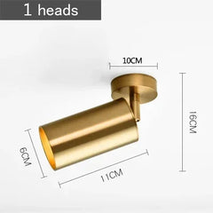 Brushed Gold Cylinder Spotlights Surface Mount Ceiling Light