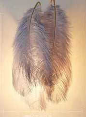 Feather wall light fixture with dimensions and specifications on a neutral background
