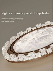 High-transparency acrylic lampshade with wooden base on a gray background