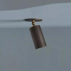 Ceiling light fixture on a plain ceiling