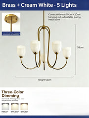 Brushed Gold Tulip Glass Chandelier Pendant Light