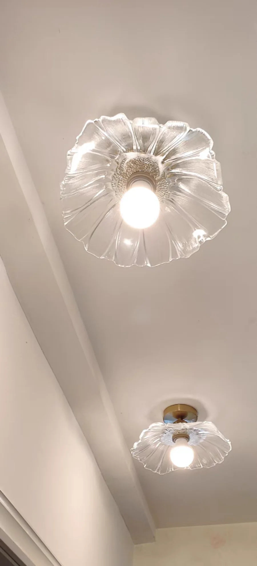 Two ceiling lights with glass shades on a white ceiling.