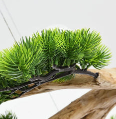 Branch Botanical Style Chandelier with G4 Lights