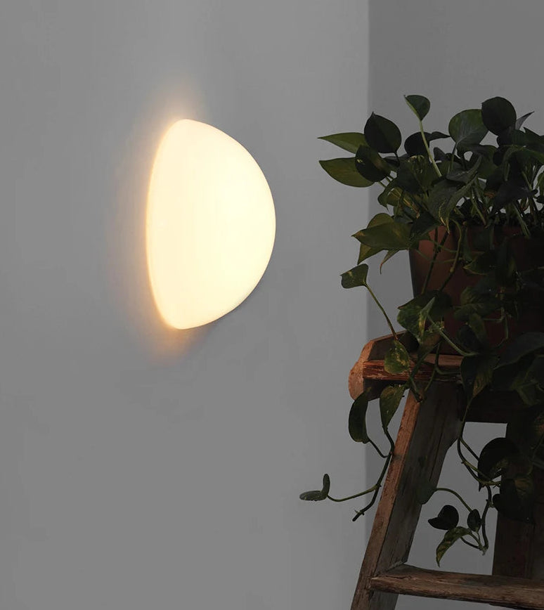 Round wall light fixture on a gray wall with a plant in the foreground