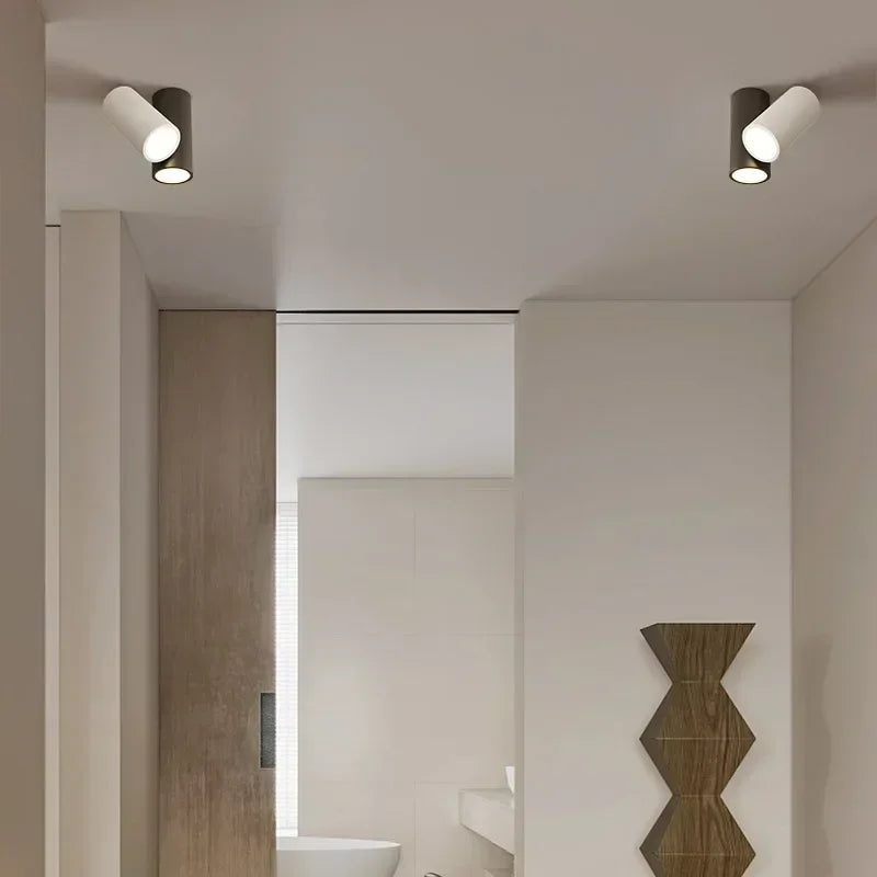 A pair of black cylinder spotlights mounted on a ceiling in a hallway.