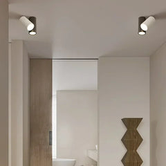 A pair of black cylinder spotlights mounted on a ceiling in a hallway.