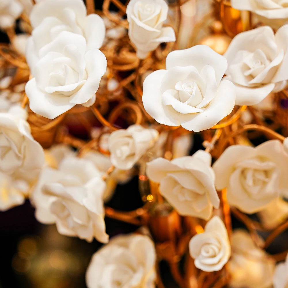 Close-up of white roses with a blurred background