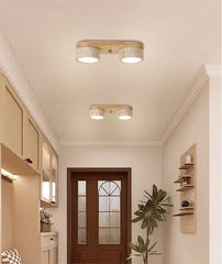 Modern ceiling lights in a hallway with a wooden door and decorative elements.