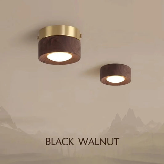 Two modern flush mount ceiling lights with black walnut wood bodies and brass accents mounted on a beige ceiling.