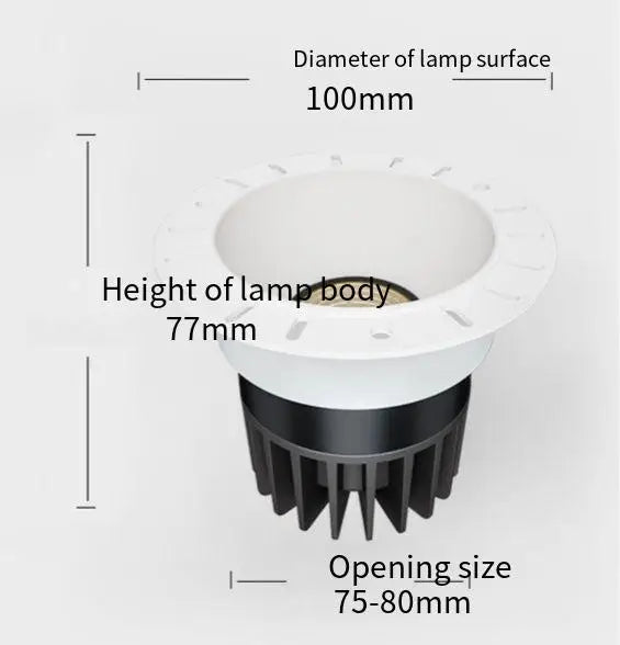 Close-up diagram showing the dimensions of the recessed spotlight: 100mm surface diameter, 77mm body height, and 75-80mm opening size.