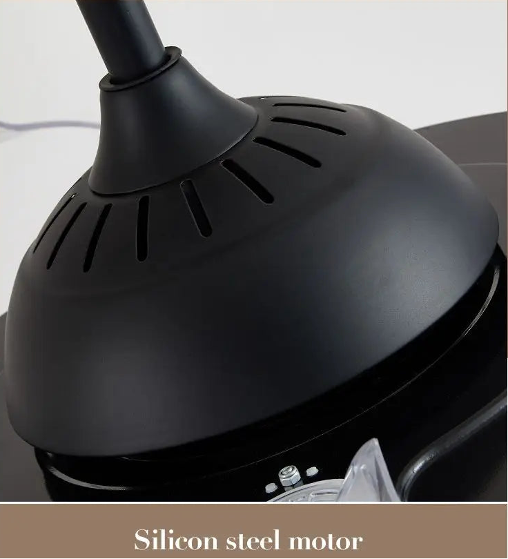 Close-up of a black hair dryer with 'Silicon steel motor' text at the bottom.